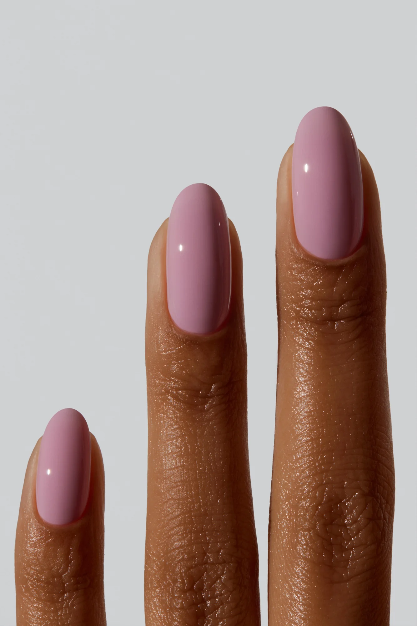 English Rose - Image 3